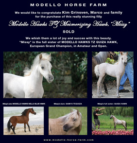 miniature filly for sale