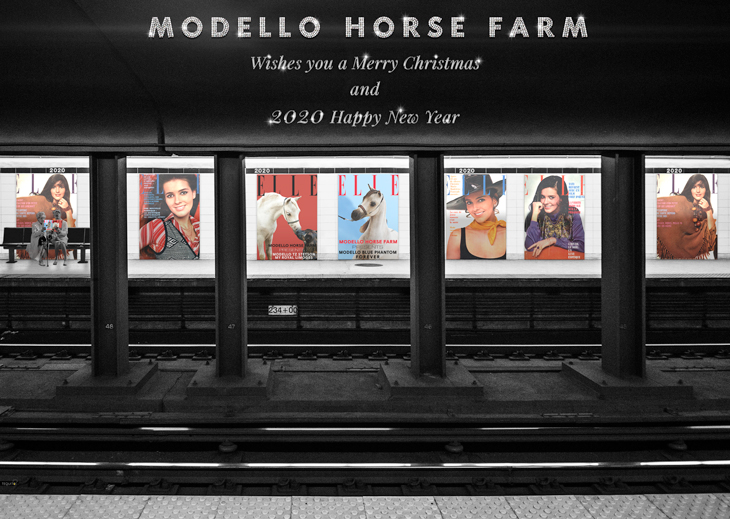 Modello Horse Farm vous souhaite un joyeux Noël et une année 2020 heureuse