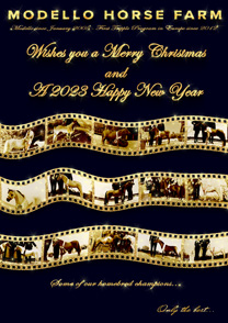 Modello Horse Farm vous souhaite un Joyeux Noël et une bonne année 2022