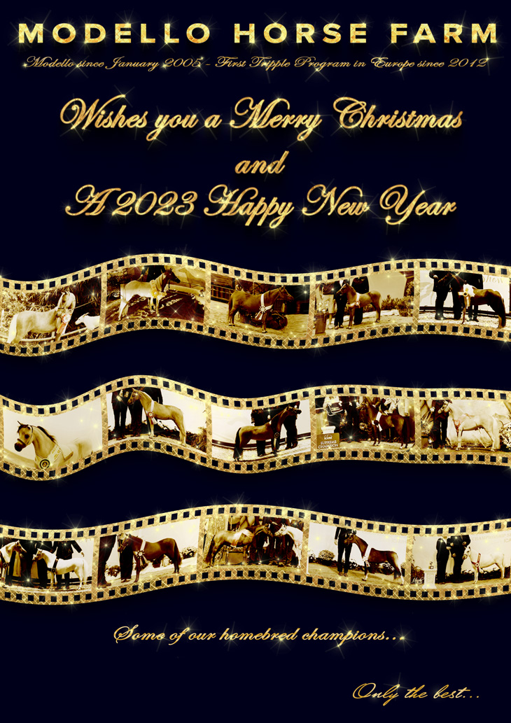 Modello Horse Farm vous souhaite un joyeux Noël et une année 2023 heureuse