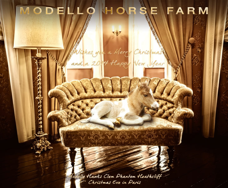 Modello Horse Farm wishes you a Merry Christmas and a 2014 Happy New Year