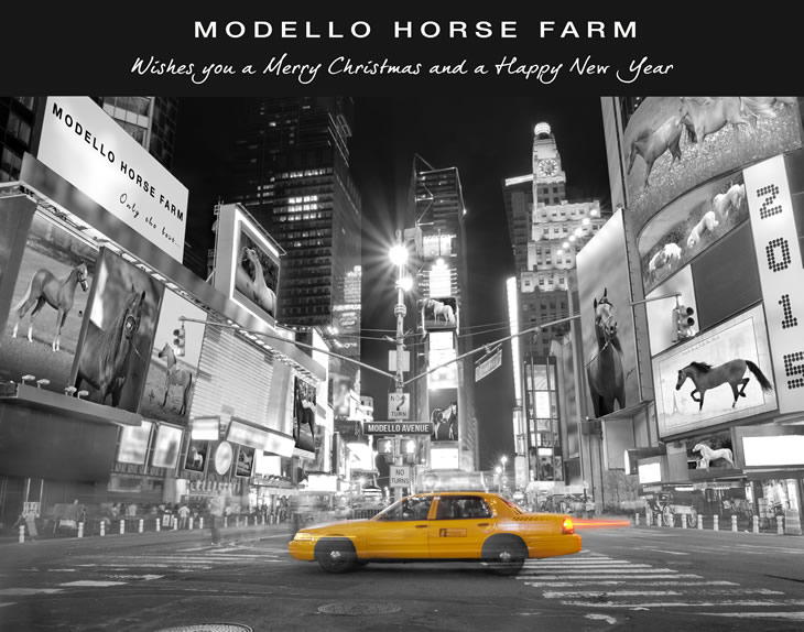 Modello Horse Farm wishes you a Merry Christmas and a 2015 Happy New Year