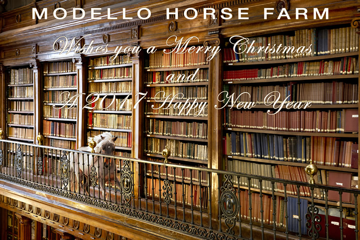 Modello Horse Farm wishes you a Merry Christmas and a 2017 Happy New Year