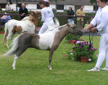 Ovation CBY at the 2008 Deauville Show