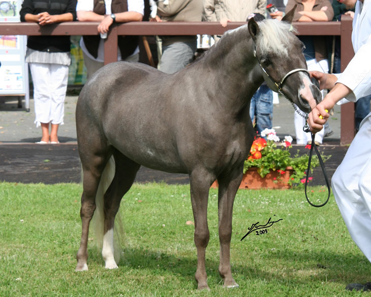 Charisma at the 2009 Deauville international show