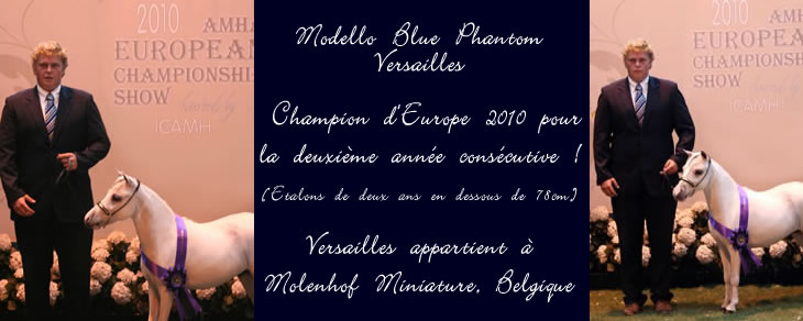 Modello Blue Phantom Versailles