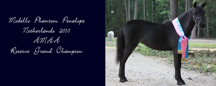 Penalope, miniature filly, Reserve Grand Champion